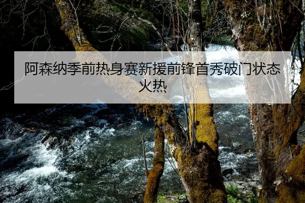阿森纳季前热身赛新援前锋首秀破门状态火热